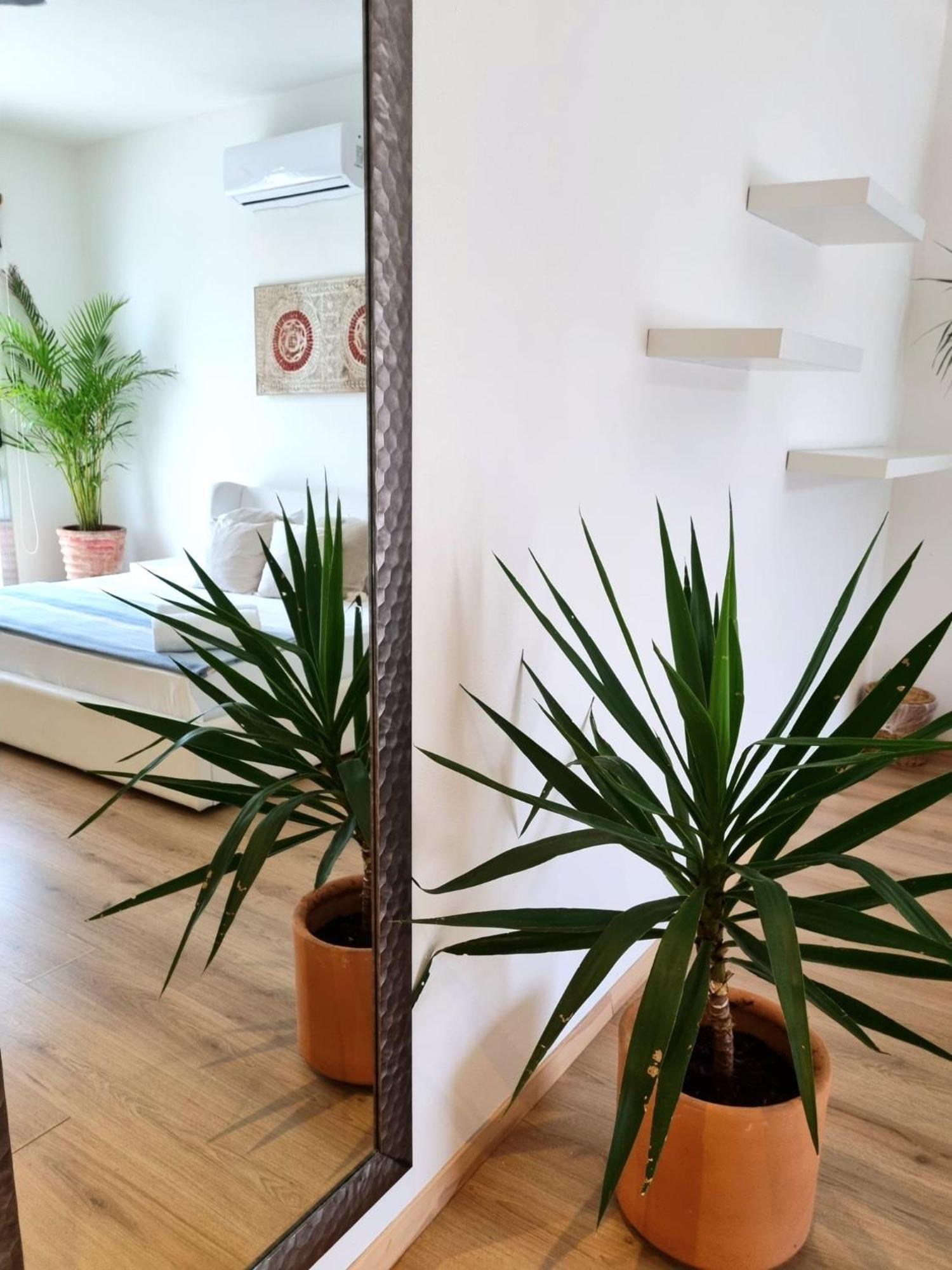 Chill Inn Hostel Тулум Екстер'єр фото